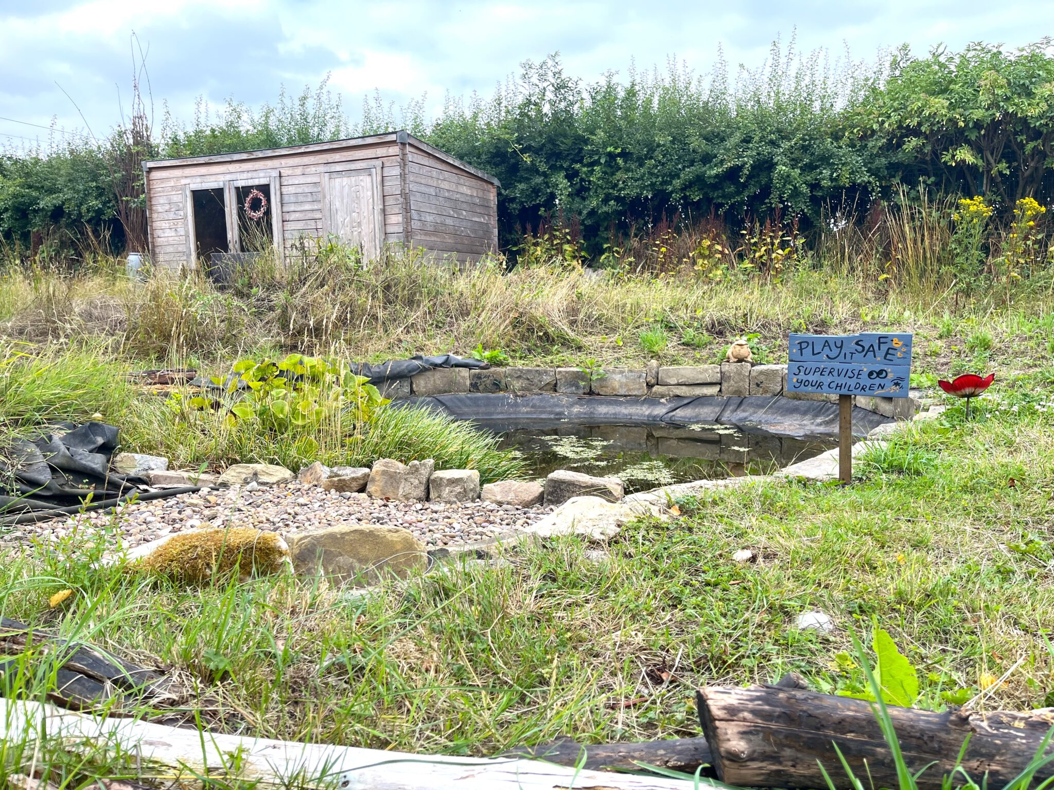 A scenic hut stands near a pond in a garden